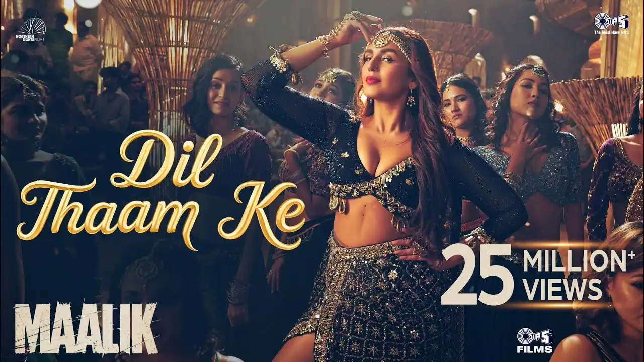 दिल थाम के Dil Thaam Ke Lyrics in Hindi – Maalik(2025)